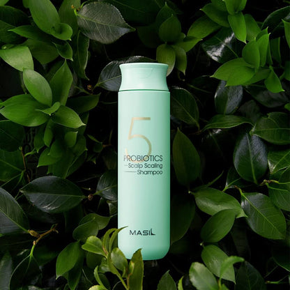 MASIL 5 Probiotics Scalp Scaling Shampoo - 300ml