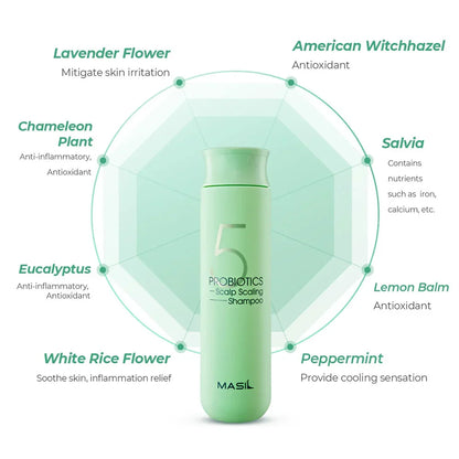 MASIL 5 Probiotics Scalp Scaling Shampoo - 300ml
